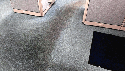 Traffic marks on carpet